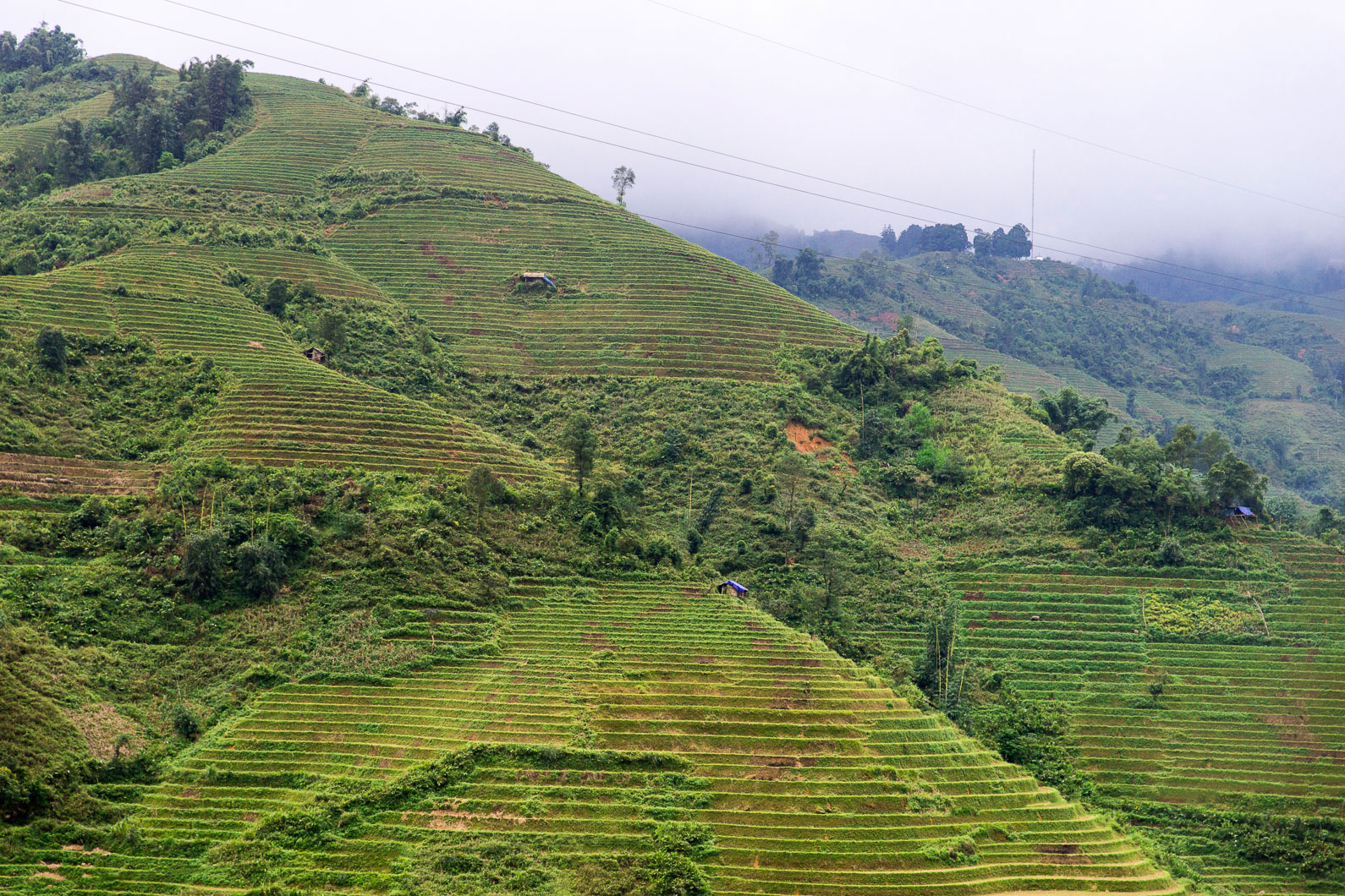 20141108 145248 Weiterfahrt nach Sapa